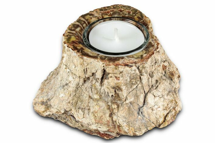 Polished Petrified Wood Candle Holder - Madagascar #337577